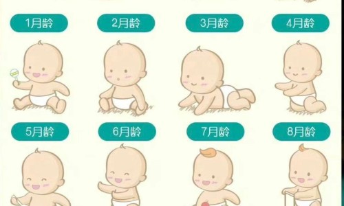 两头尖又叫什么名字-两头尖的神奇功效与作用-两头尖是什么形状,中国两头尖禁忌网站