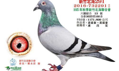 两头尖的神奇功效与作用-两头尖是什么形状,中国两头尖禁忌网站